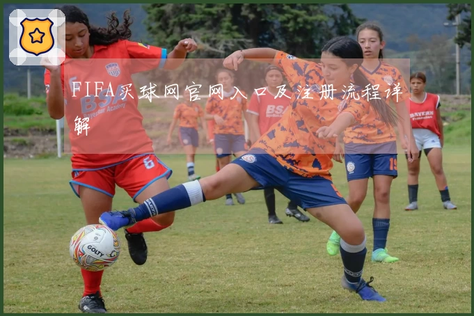FIFA买球网官网入口及注册流程详解