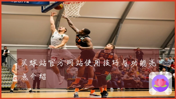 买球站官方网站使用技巧与功能亮点介绍