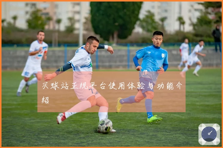 买球站正规平台使用体验与功能介绍