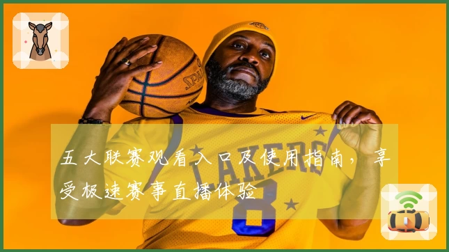五大联赛观看入口及使用指南，享受极速赛事直播体验