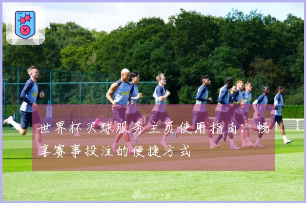 世界杯买球服务主页使用指南：畅享赛事投注的便捷方式